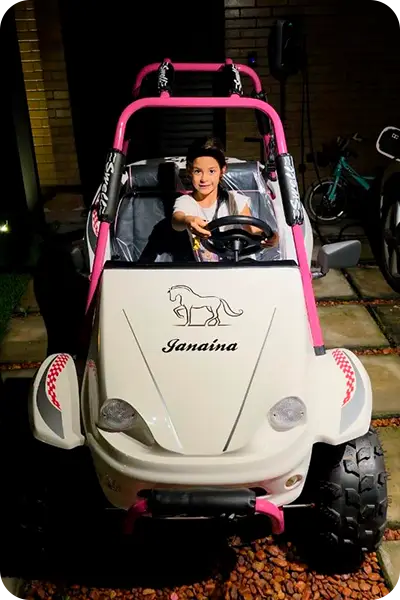 swell-miniv-veiculos-satisfacao_5